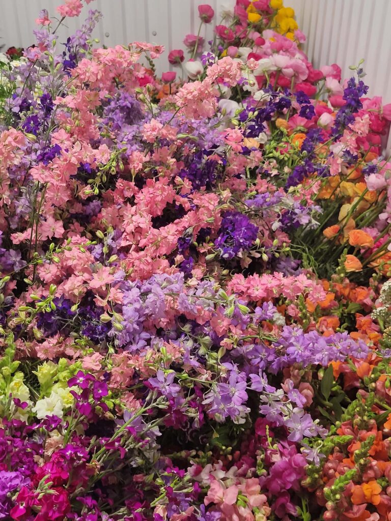 flowers_1