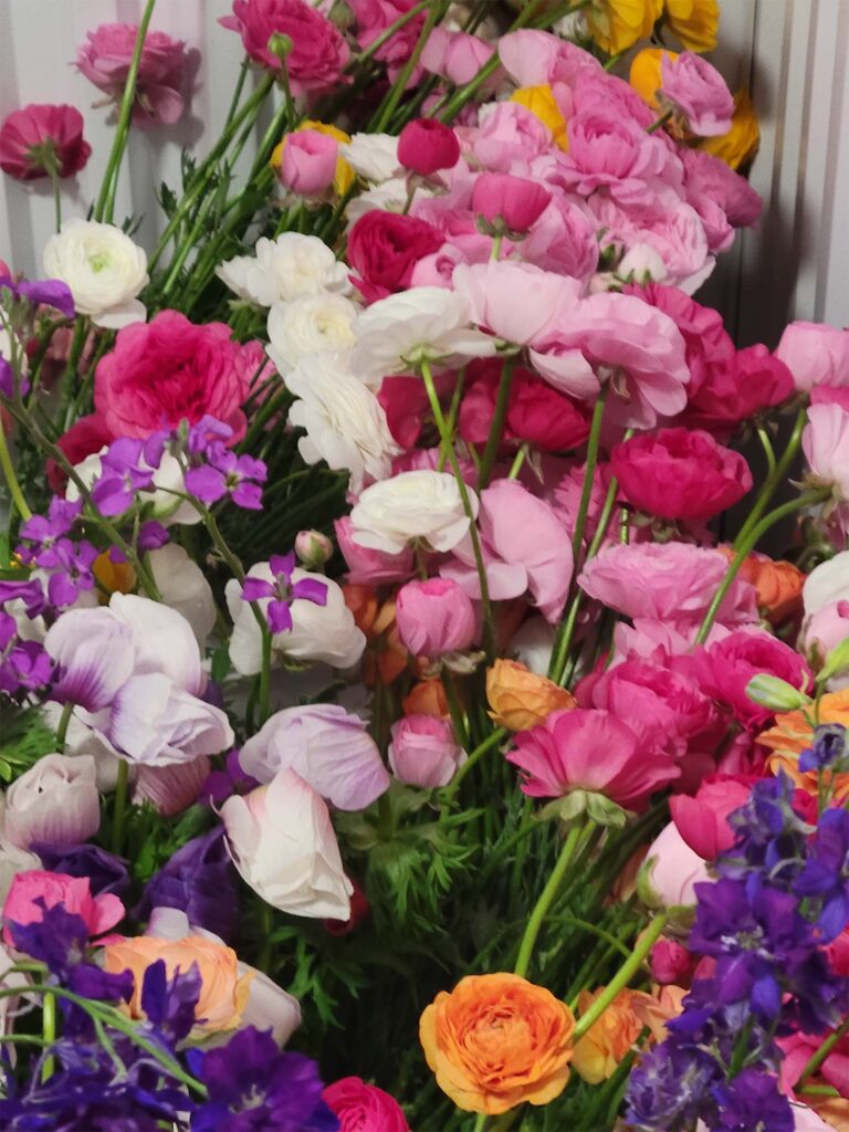 flowers_2