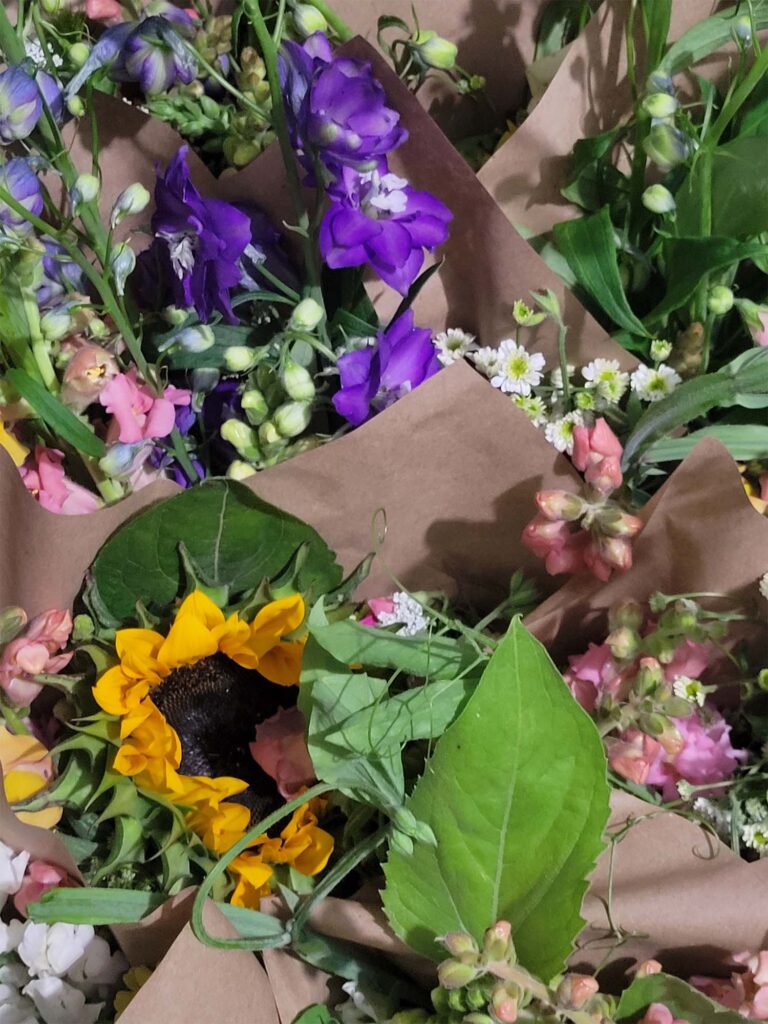 flowers_3
