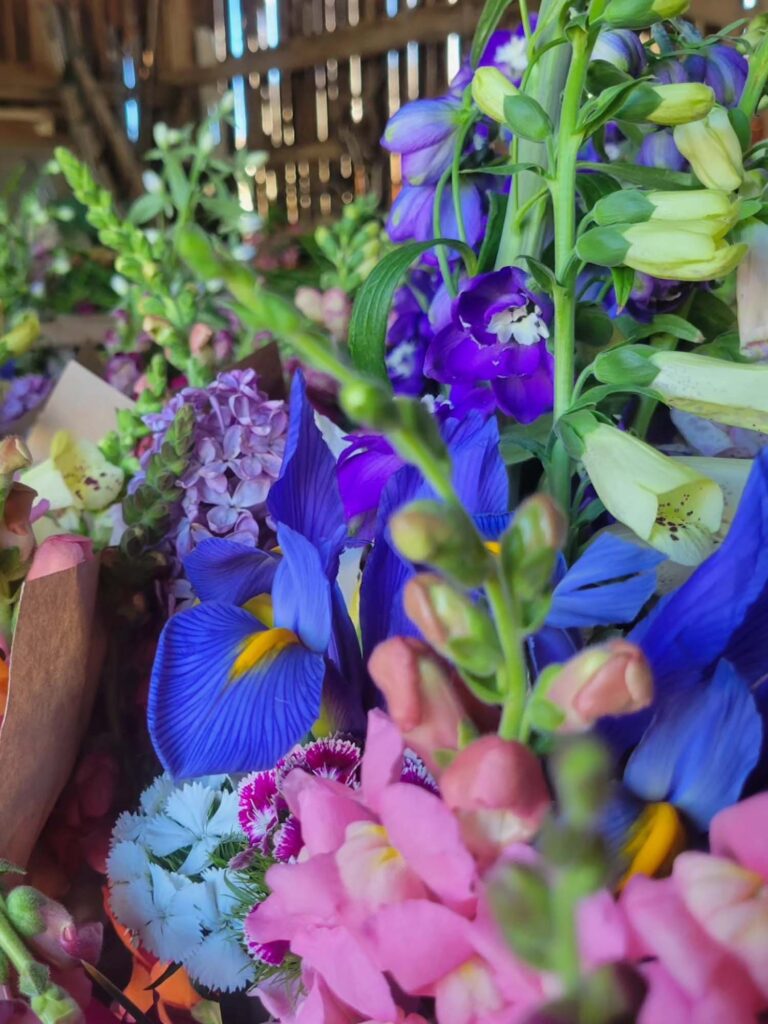 flowers_5